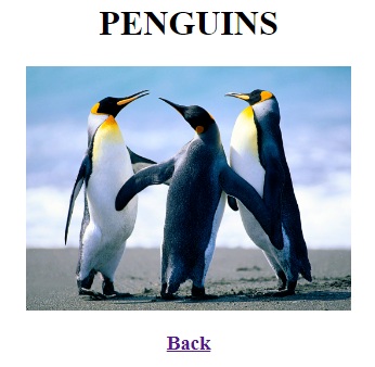 A HTML TAG 1_MyNetEdu