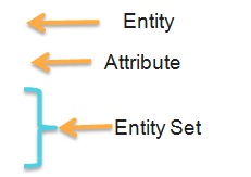 Entity Set